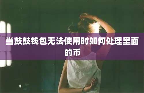 当鼓鼓钱包无法使用时如何处理里面的币