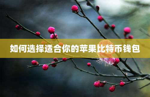 如何选择适合你的苹果比特币钱包