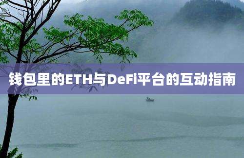 钱包里的ETH与DeFi平台的互动指南