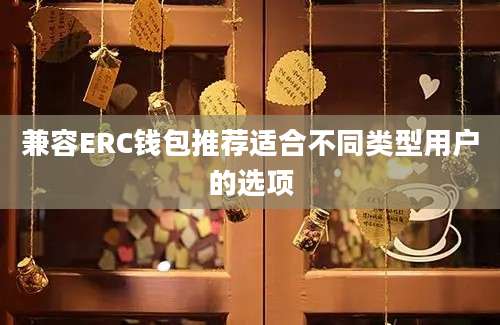 兼容ERC钱包推荐适合不同类型用户的选项