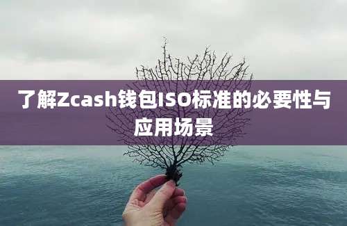 了解Zcash钱包ISO标准的必要性与应用场景