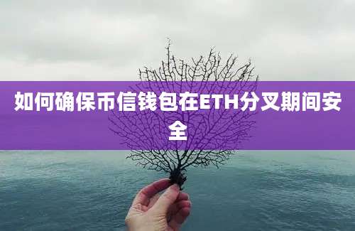 如何确保币信钱包在ETH分叉期间安全