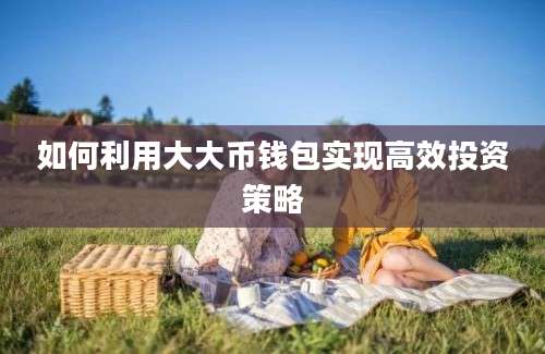 如何利用大大币钱包实现高效投资策略