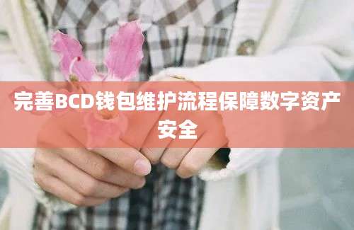 完善BCD钱包维护流程保障数字资产安全