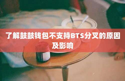 了解鼓鼓钱包不支持BTS分叉的原因及影响