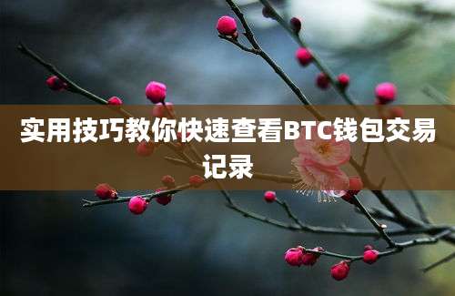 实用技巧教你快速查看BTC钱包交易记录