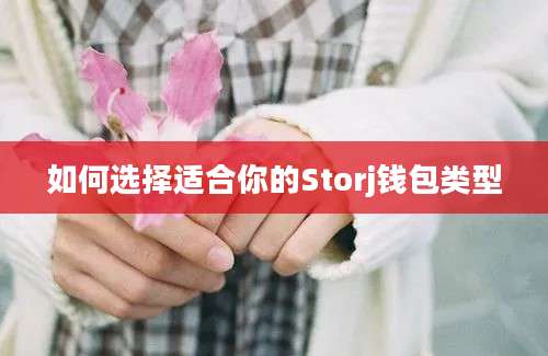 如何选择适合你的Storj钱包类型