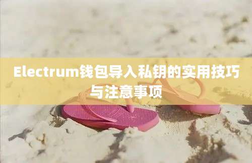 Electrum钱包导入私钥的实用技巧与注意事项