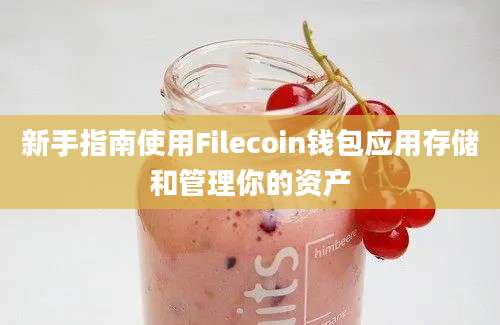 新手指南使用Filecoin钱包应用存储和管理你的资产