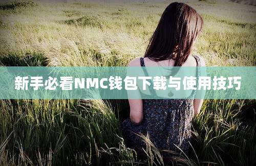 新手必看NMC钱包下载与使用技巧