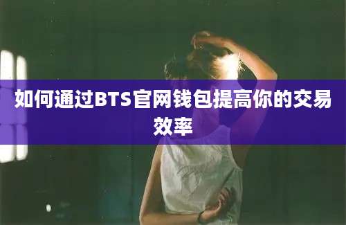 如何通过BTS官网钱包提高你的交易效率