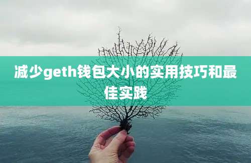 减少geth钱包大小的实用技巧和最佳实践