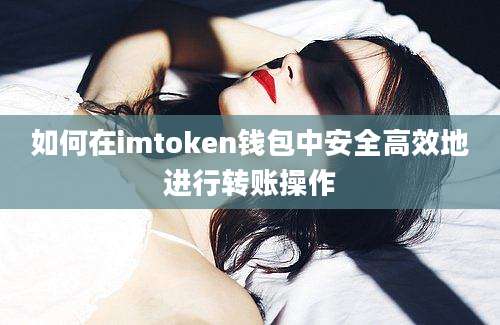 如何在imtoken钱包中安全高效地进行转账操作