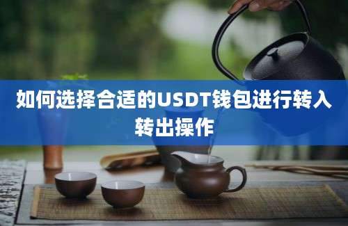 如何选择合适的USDT钱包进行转入转出操作