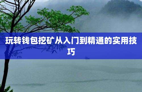 玩转钱包挖矿从入门到精通的实用技巧