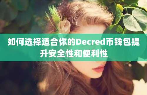 如何选择适合你的Decred币钱包提升安全性和便利性