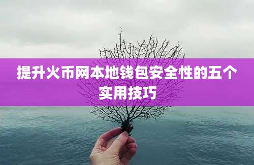 提升火币网本地钱包安全性的五个实用技巧