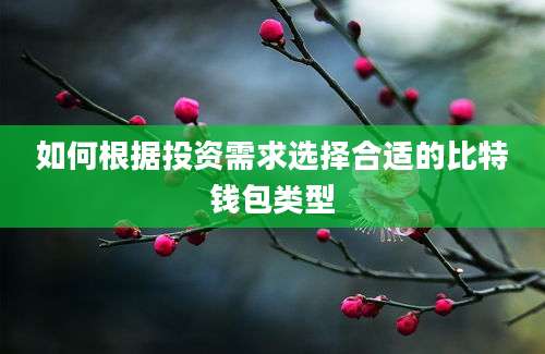 如何根据投资需求选择合适的比特钱包类型