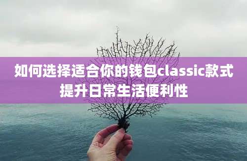 如何选择适合你的钱包classic款式提升日常生活便利性