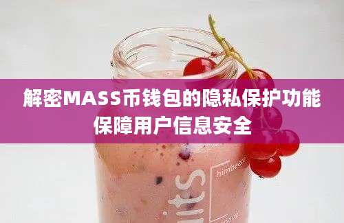 解密MASS币钱包的隐私保护功能保障用户信息安全