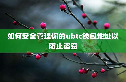 如何安全管理你的ubtc钱包地址以防止盗窃