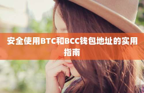 安全使用BTC和BCC钱包地址的实用指南