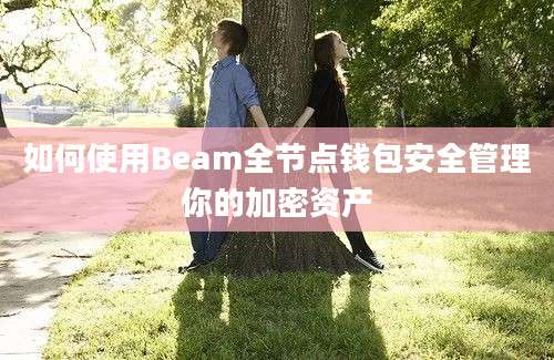 如何使用Beam全节点钱包安全管理你的加密资产