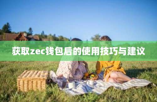 获取zec钱包后的使用技巧与建议