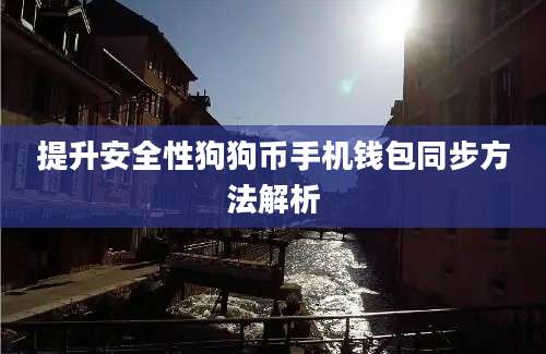 提升安全性狗狗币手机钱包同步方法解析