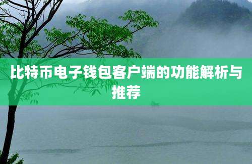 比特币电子钱包客户端的功能解析与推荐