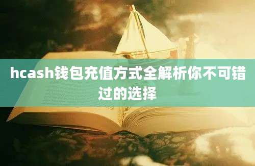 hcash钱包充值方式全解析你不可错过的选择