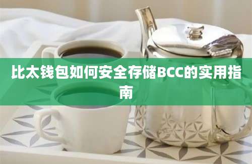 比太钱包如何安全存储BCC的实用指南