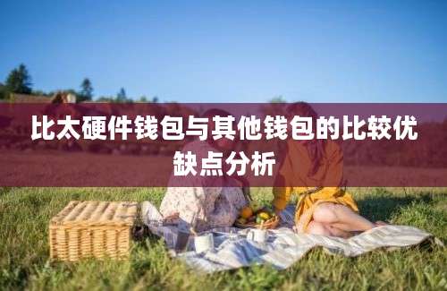 比太硬件钱包与其他钱包的比较优缺点分析