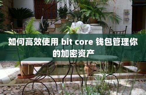 如何高效使用 bit core 钱包管理你的加密资产