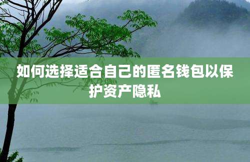 如何选择适合自己的匿名钱包以保护资产隐私