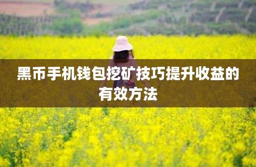 黑币手机钱包挖矿技巧提升收益的有效方法