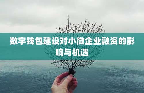 数字钱包建设对小微企业融资的影响与机遇