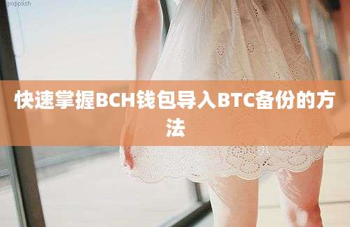 快速掌握BCH钱包导入BTC备份的方法