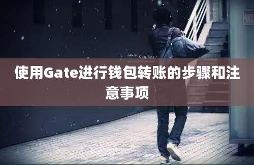 使用Gate进行钱包转账的步骤和注意事项