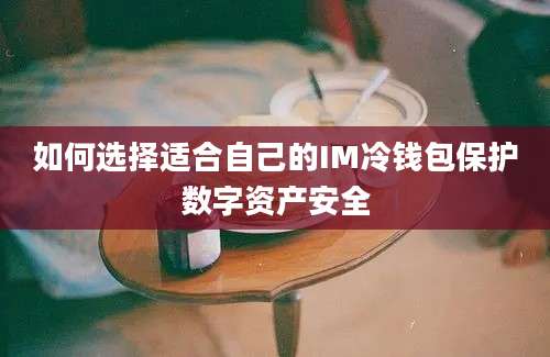 如何选择适合自己的IM冷钱包保护数字资产安全