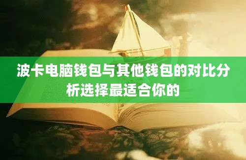 波卡电脑钱包与其他钱包的对比分析选择最适合你的