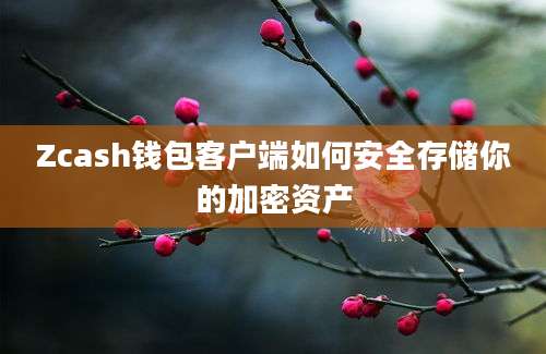 Zcash钱包客户端如何安全存储你的加密资产