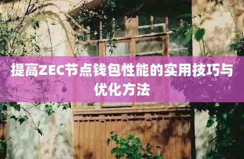 提高ZEC节点钱包性能的实用技巧与优化方法