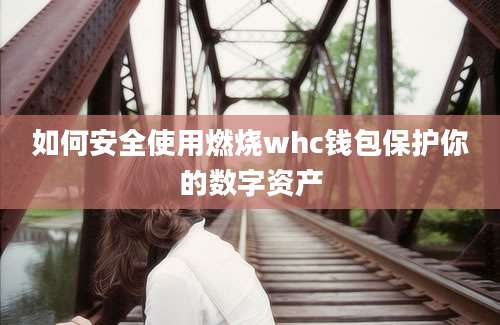 如何安全使用燃烧whc钱包保护你的数字资产