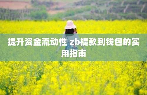 提升资金流动性 zb提款到钱包的实用指南