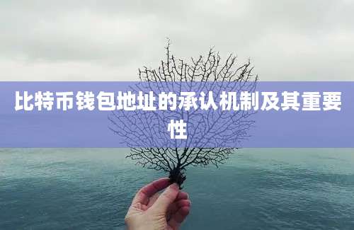 比特币钱包地址的承认机制及其重要性