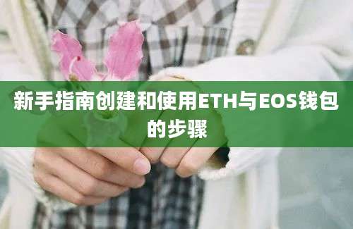 新手指南创建和使用ETH与EOS钱包的步骤