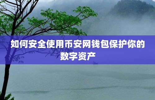 如何安全使用币安网钱包保护你的数字资产