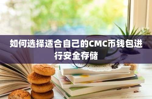 如何选择适合自己的CMC币钱包进行安全存储