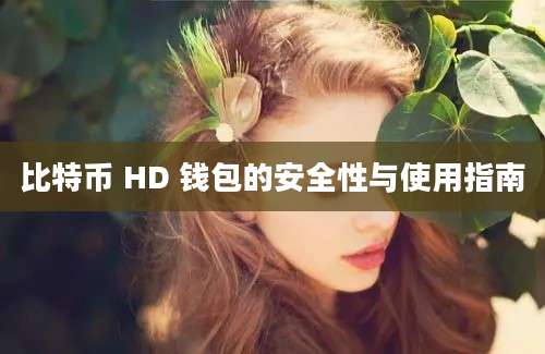 比特币 HD 钱包的安全性与使用指南